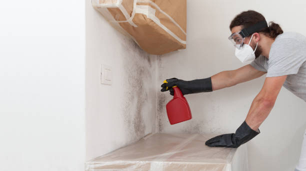 Professional Mold Testing technician working in Levittown, NY
