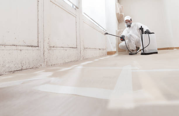 24/7 Emergency Mold Testing experts in Levittown, NY